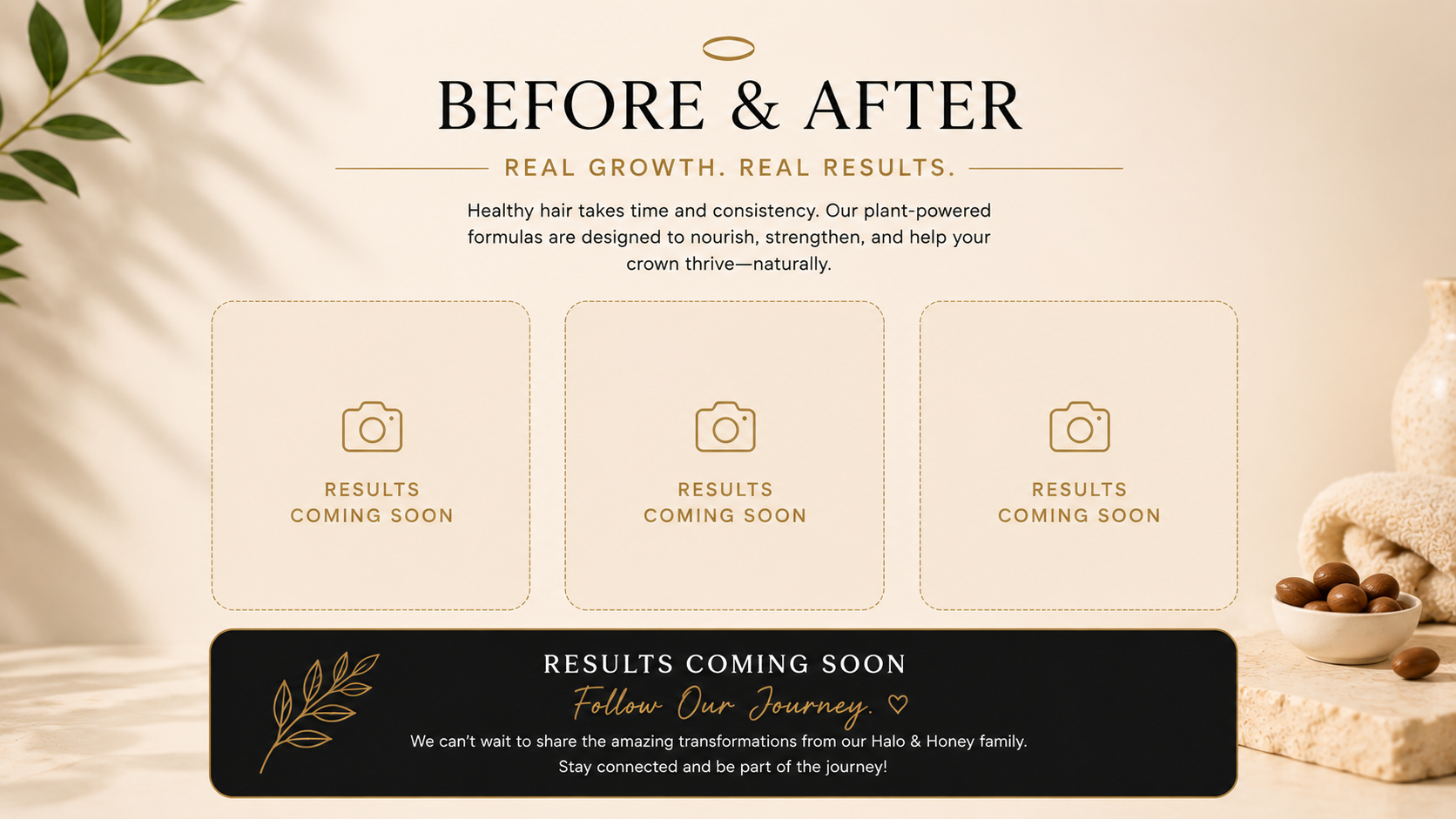 Before and after results